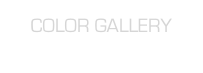 COLOR GALLERY