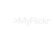 >MyFlickr